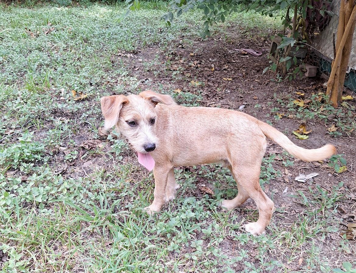 Shayano Mvt thumbnail 4