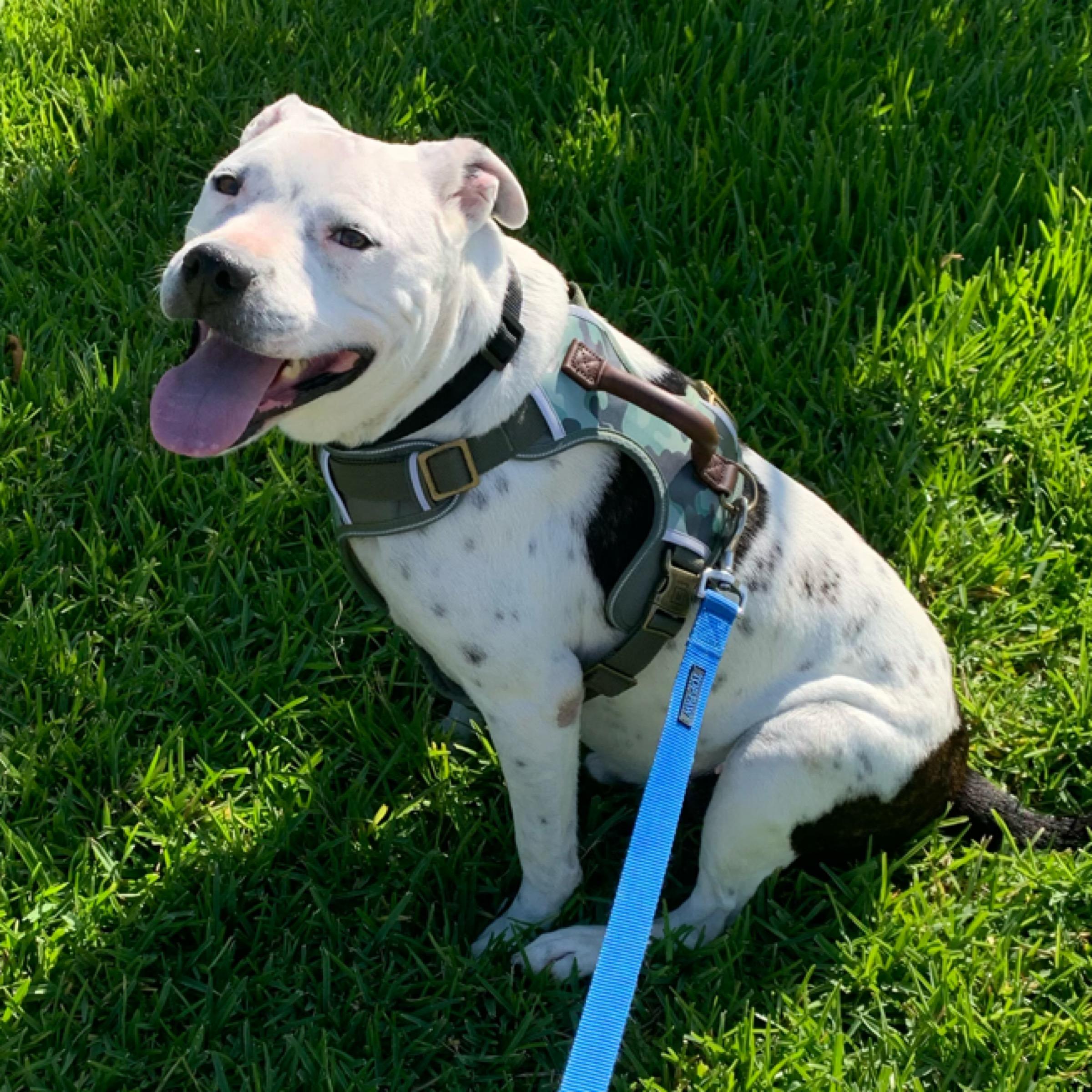 Timmy — thumbnail 3