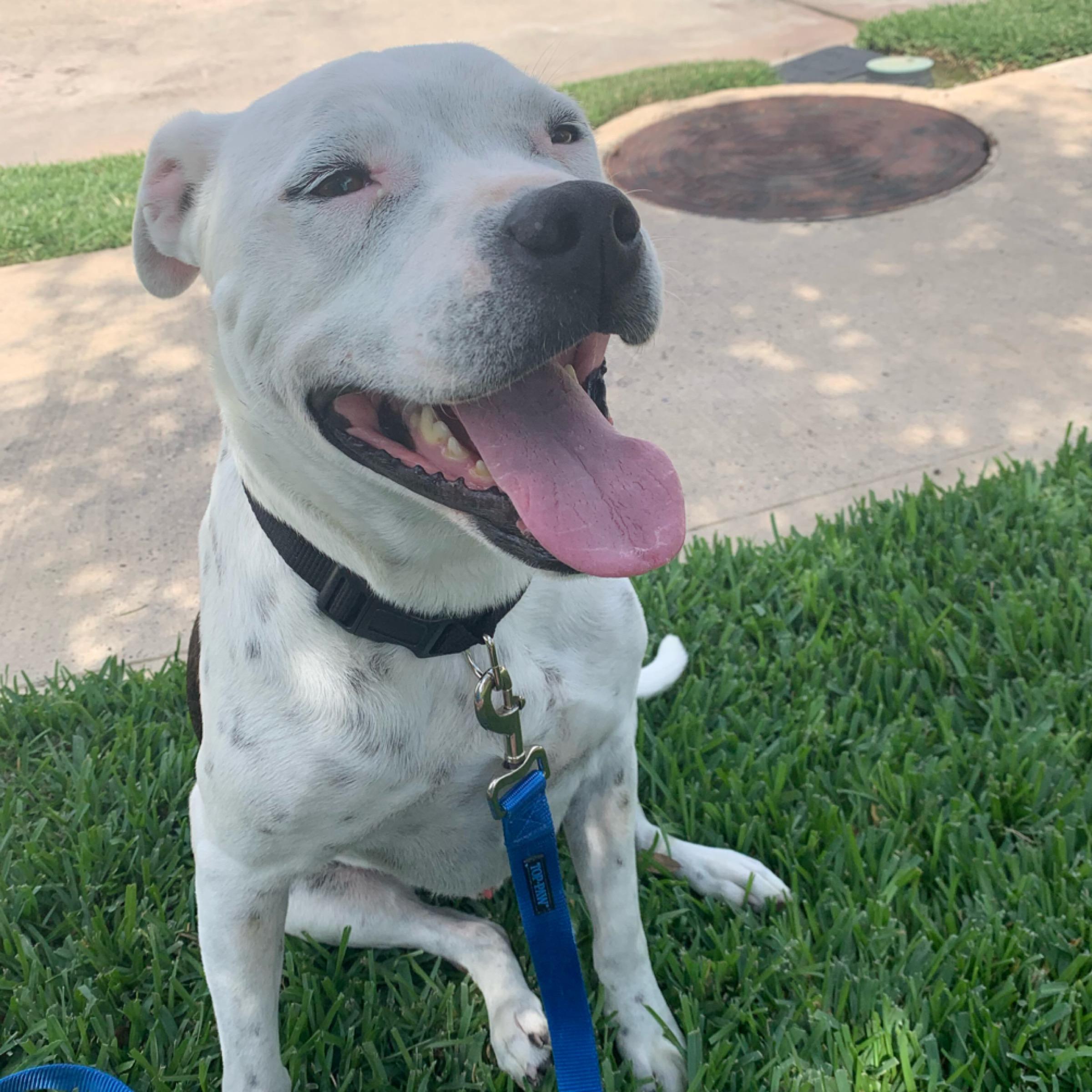 Timmy — thumbnail 5