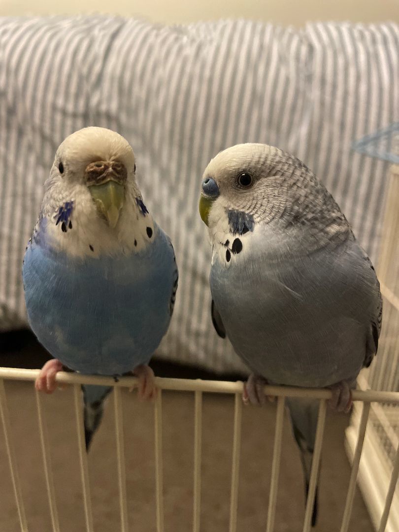 Stormy & Cloud