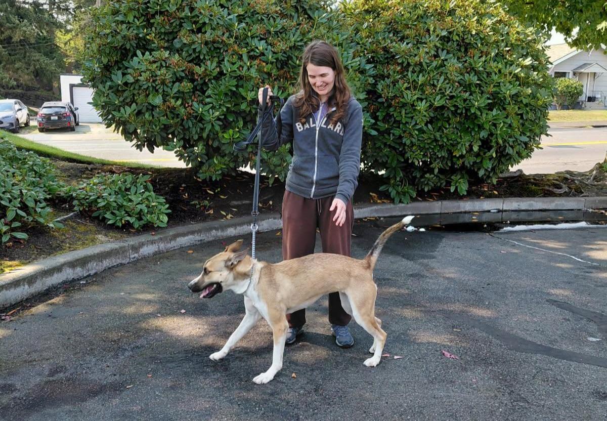 Enlarge Almond - Looking for a Foster Home!, a Adoptable mixed breed in Seattle, WA image 5/5