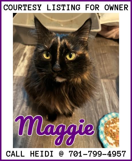 Maggie - COURTESY LISTING, Adult Female Domestic Long Hair