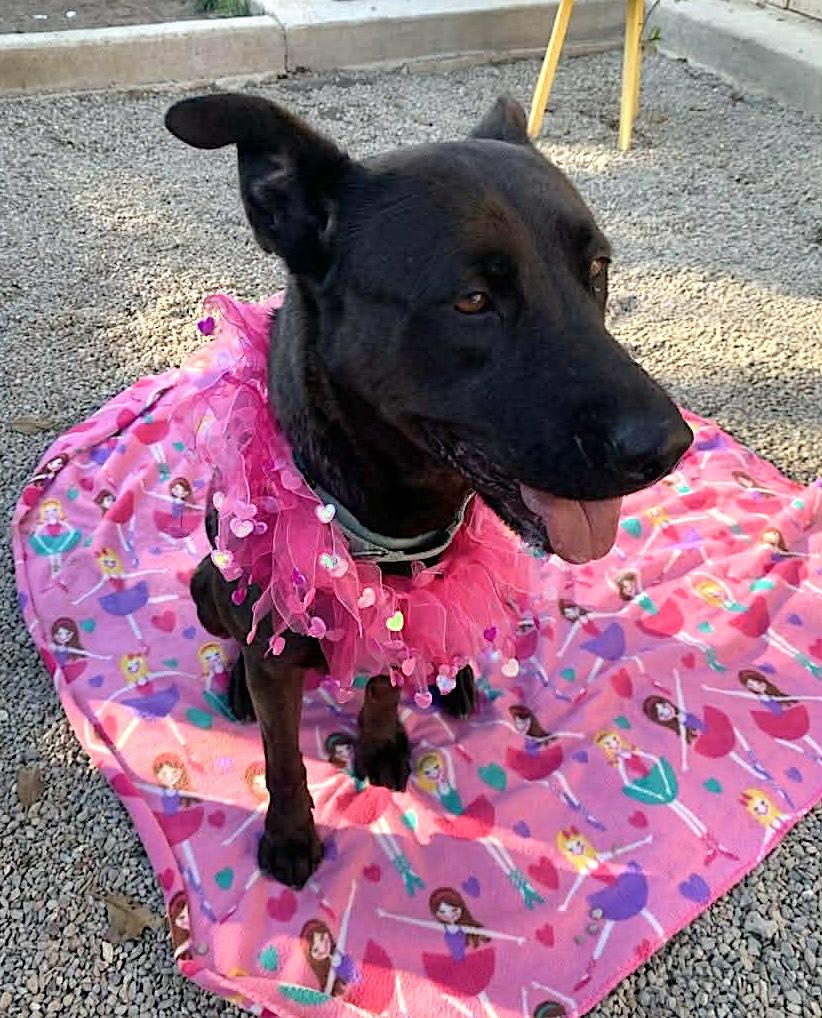 Adelina — thumbnail 2