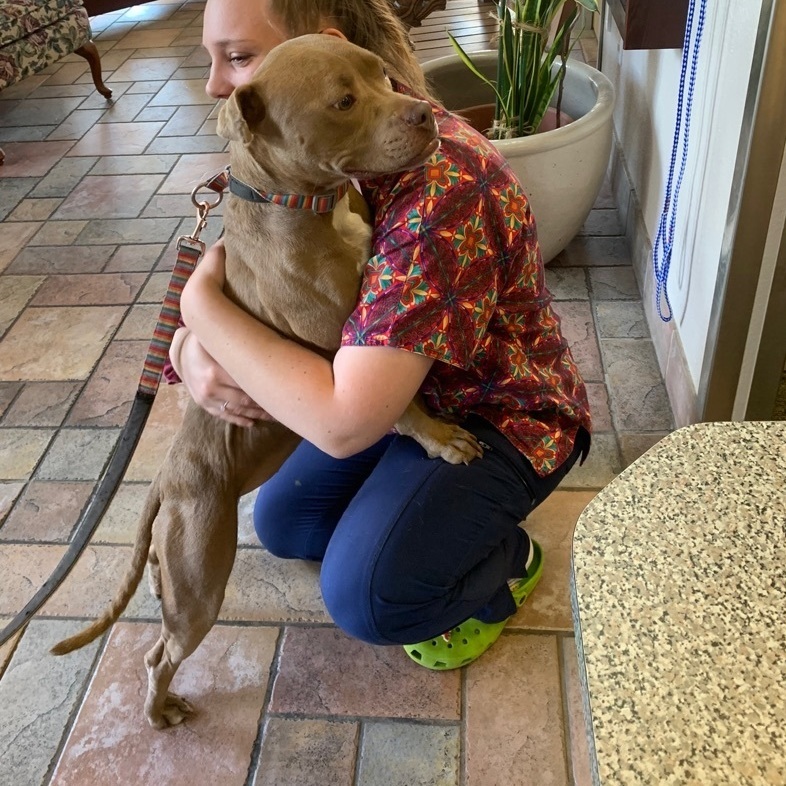 Enlarge Mindy, a Adoptable American Staffordshire Terrier in Anna, TX image 4/10
