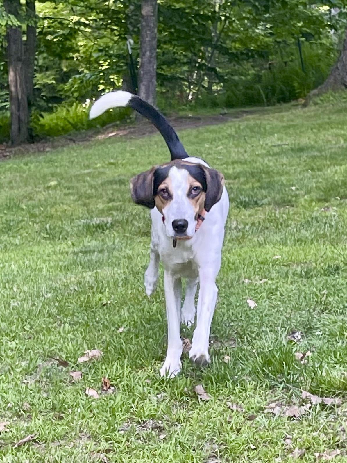 Kobe In Maine photo 3