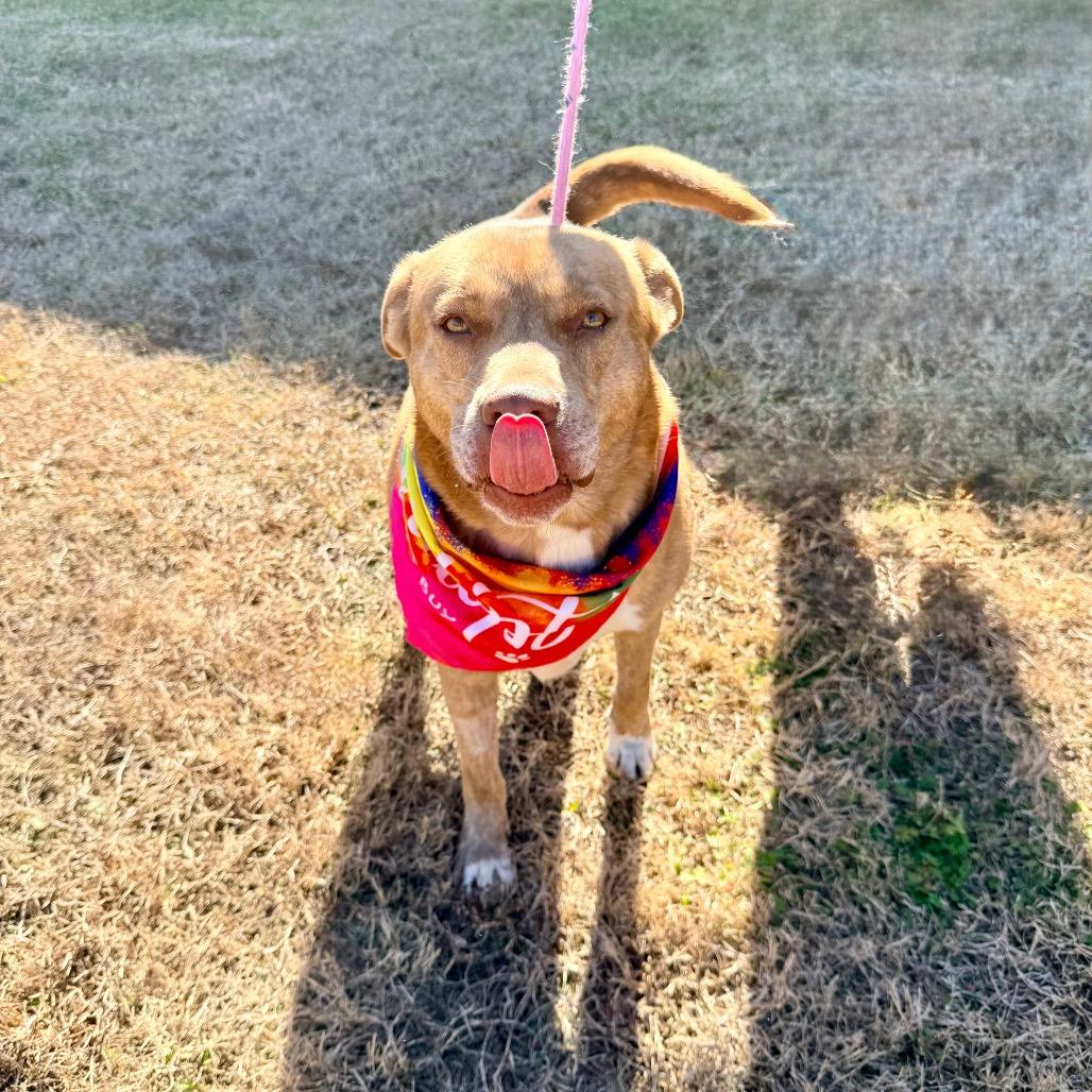 Gustav — thumbnail 6