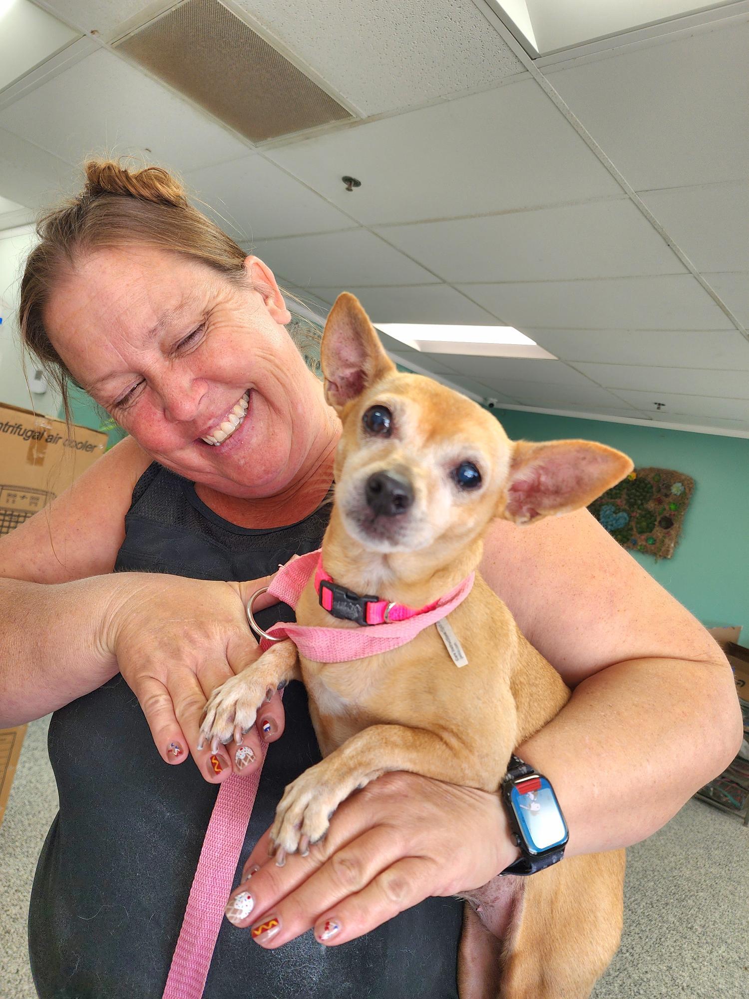 Enlarge Honey, a ADOPTABLE mixed breed in El Cajon, CA image 4/4