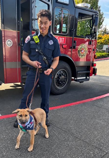 Enlarge Evie, a Adoptable mixed breed in Seattle, WA image 3/6