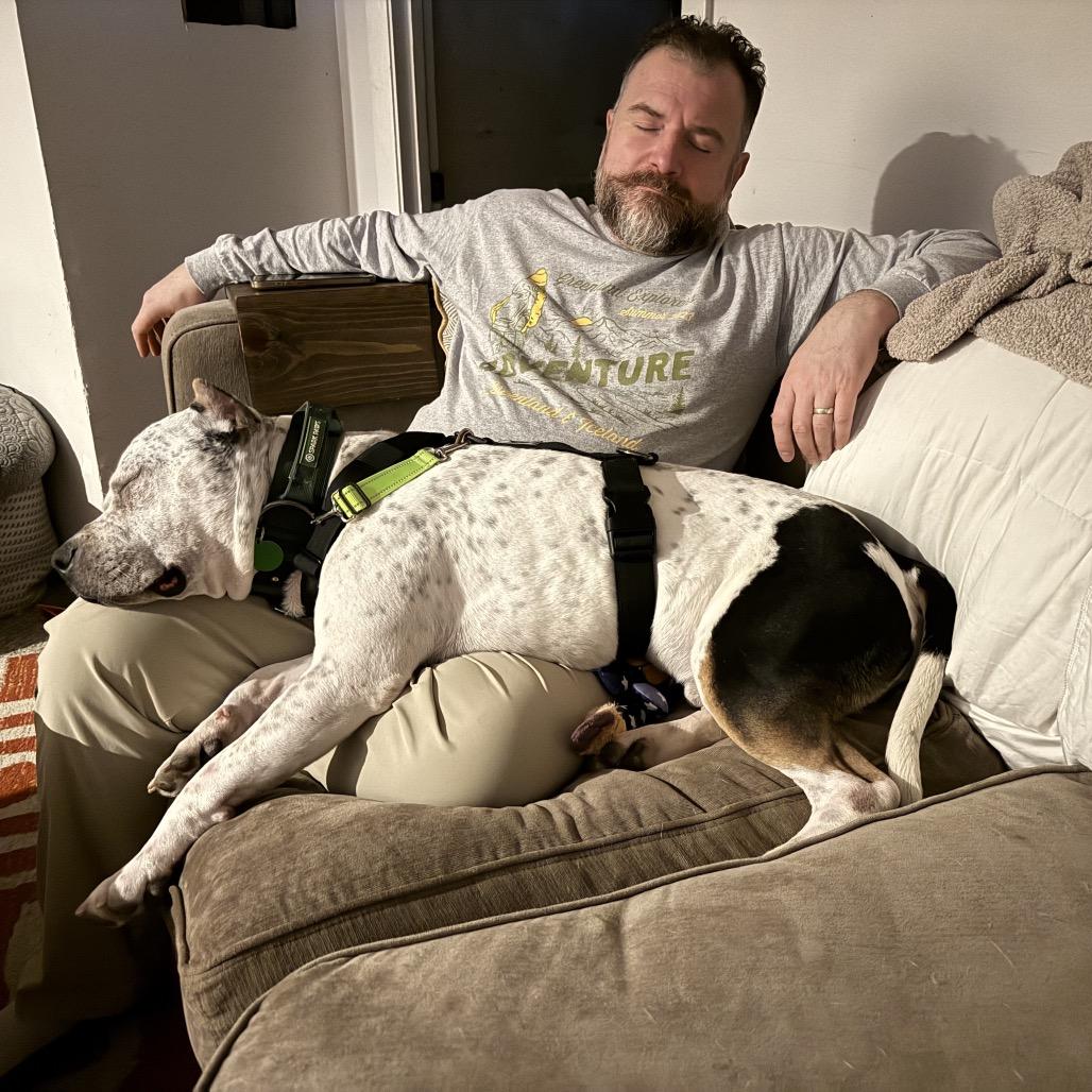 Pepe, a Adoptable Pit Bull Terrier in Chicago, IL image 3/5