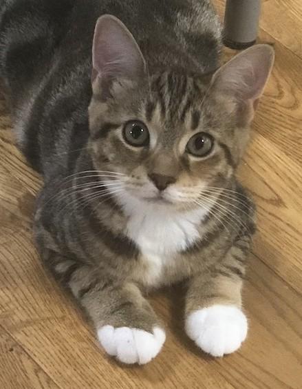 Penny