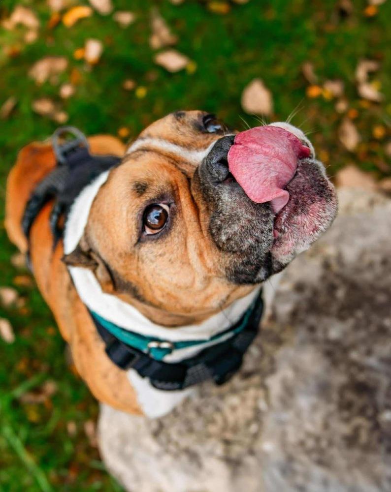 Boudreaux thumbnail 5