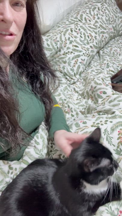 Enlarge Nita, a ADOPTABLE Domestic Short Hair in Minneapolis, MN video 4/4