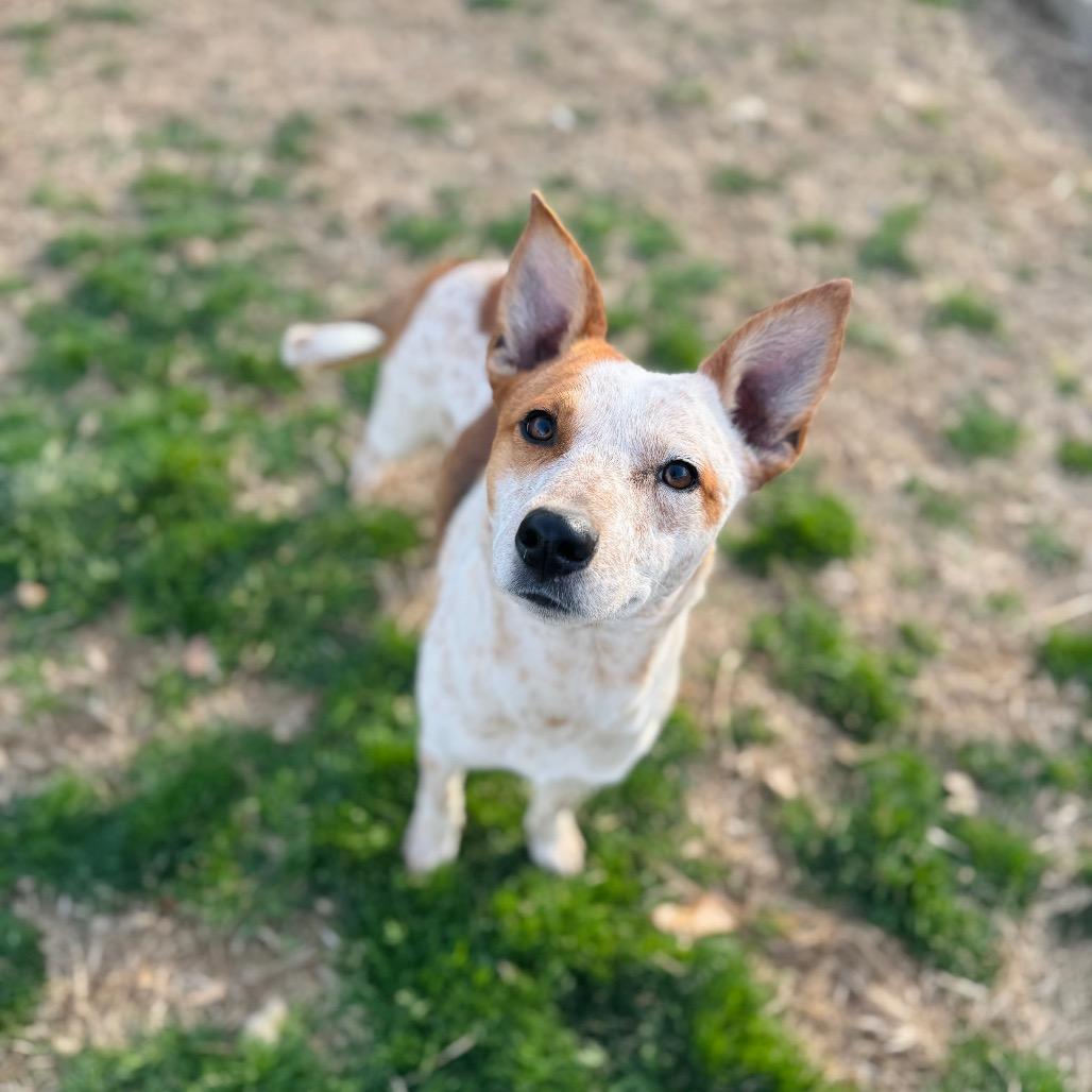 Valorie — thumbnail 2