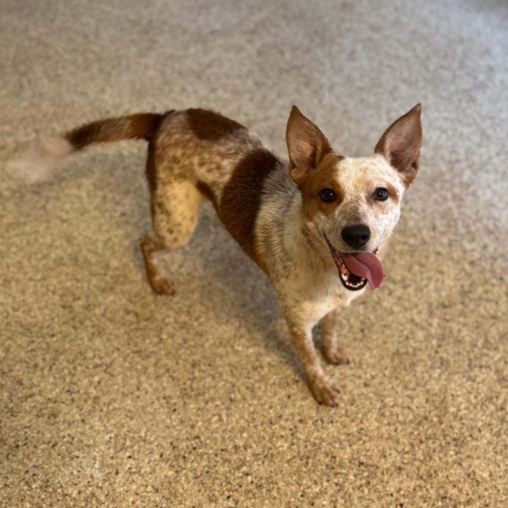 Valorie — thumbnail 3