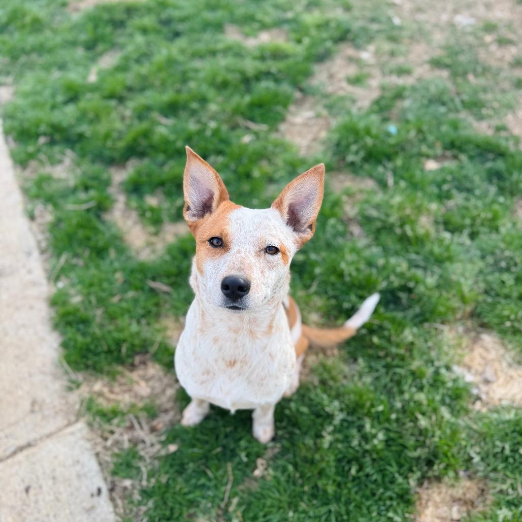 Valorie — thumbnail 4