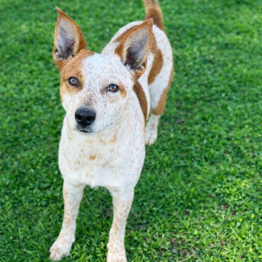 Valorie — thumbnail 5