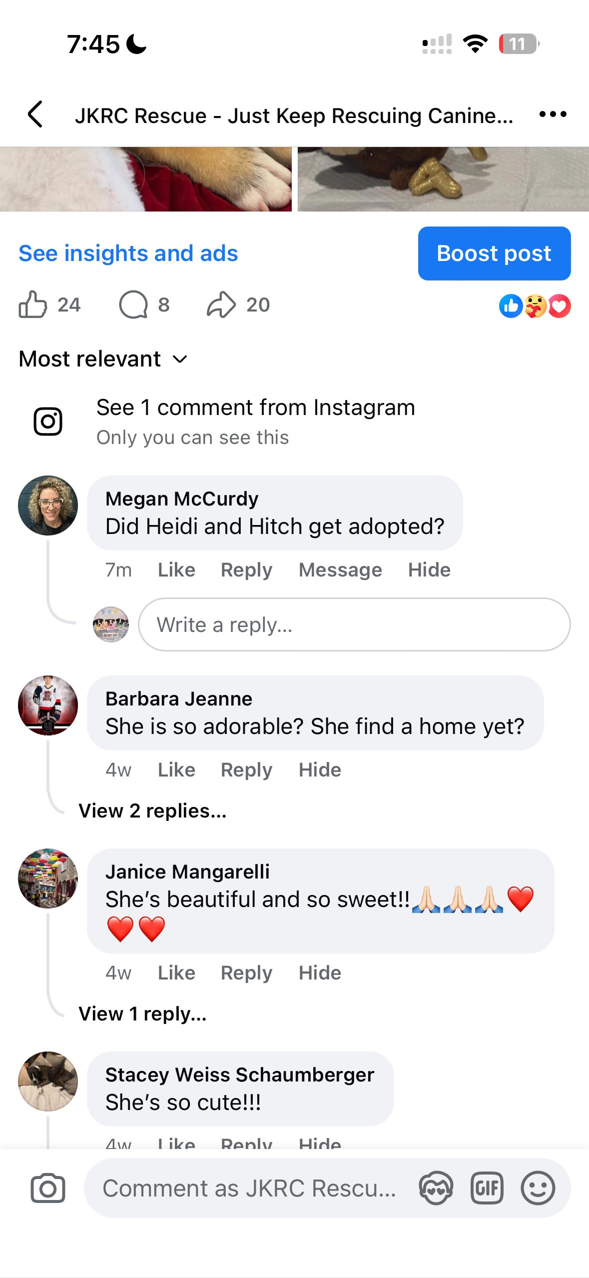 Enlarge Benji , a ADOPTABLE mixed breed in Newfoundland, NJ image 4/6