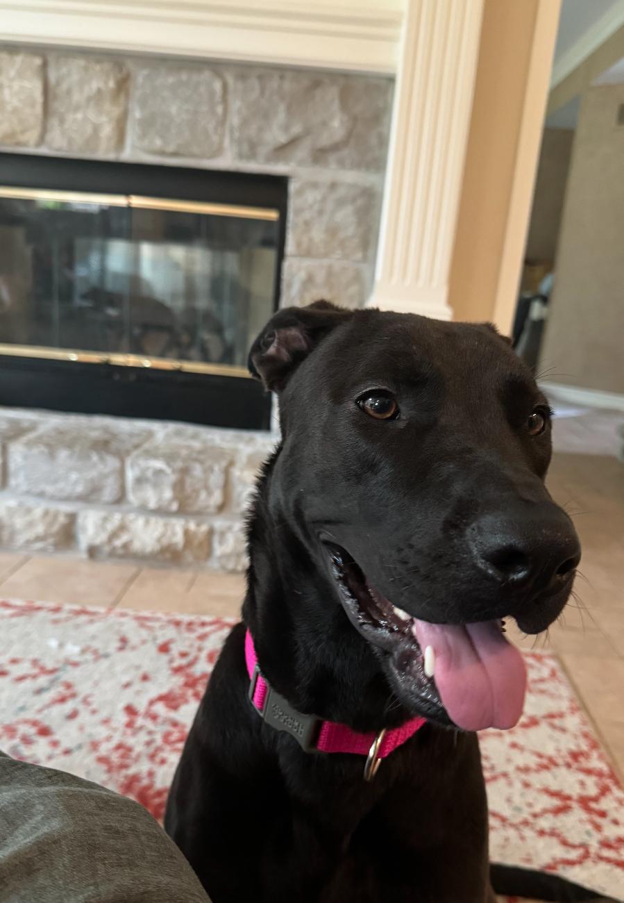 Archie
