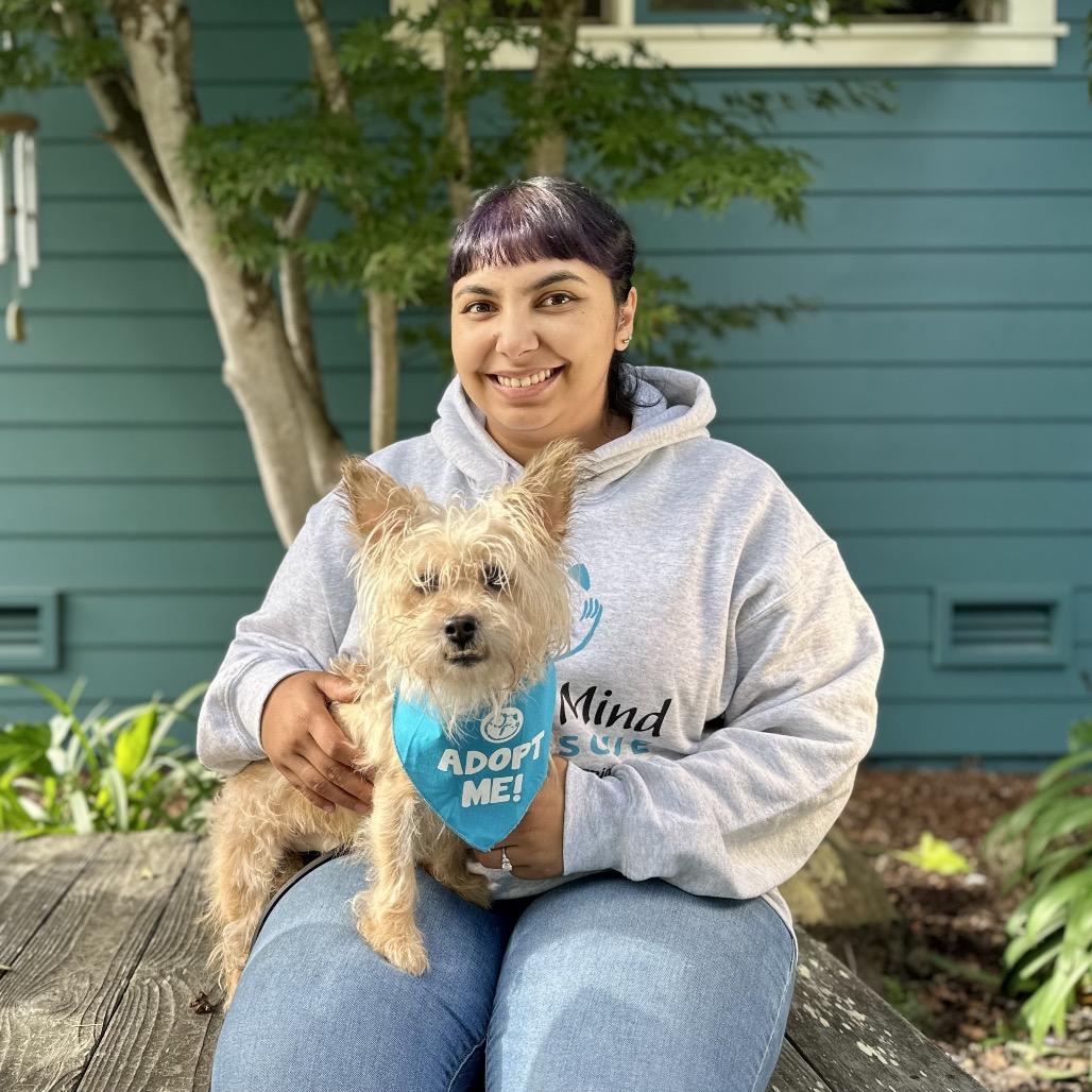 Casper, a Adoptable Yorkshire Terrier in Pacific Grove, CA image 4/6