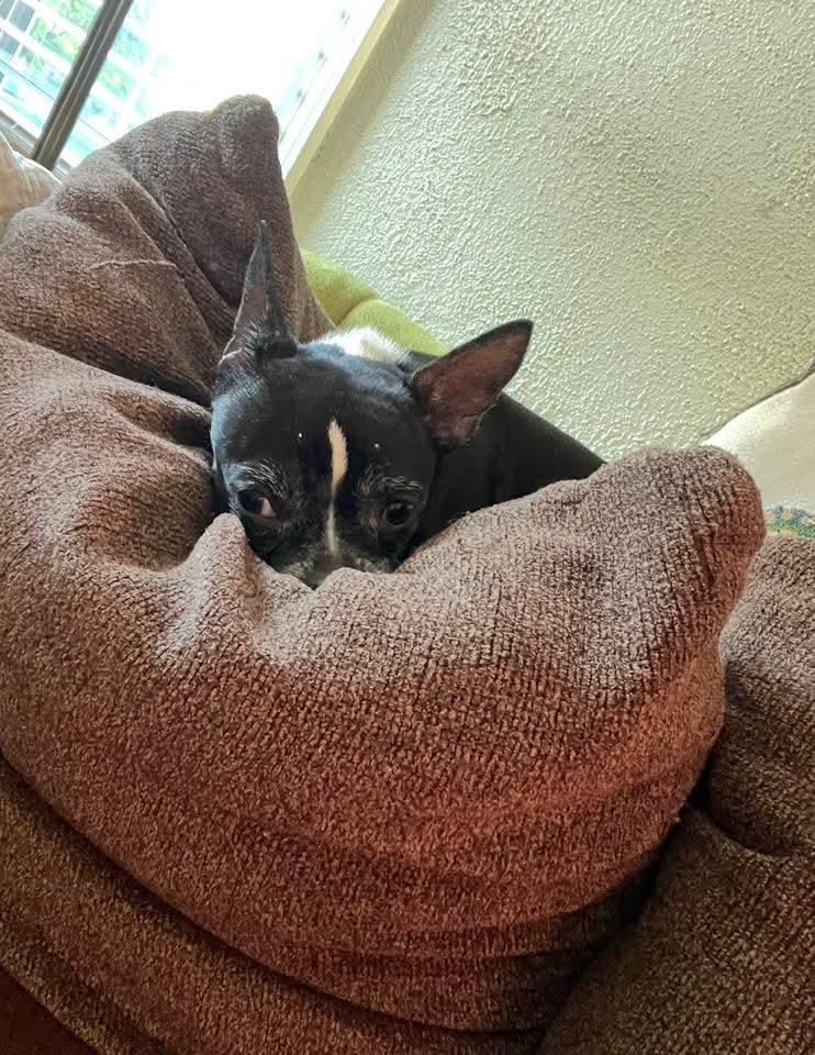 Nugget