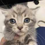 Marthathon thumbnail 2