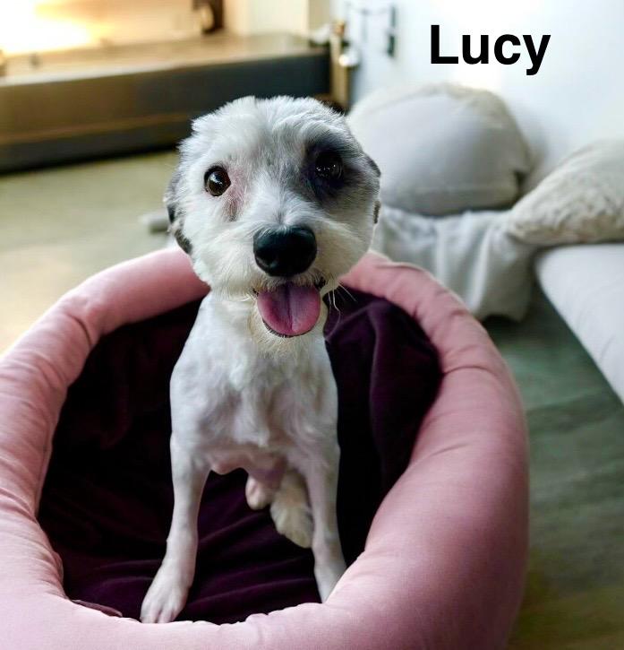 Lucy