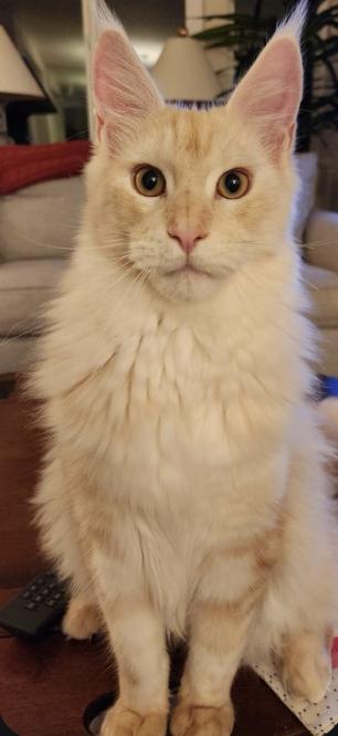 Quinn And Llewellyn thumbnail 3