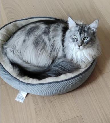 Quinn And Llewellyn thumbnail 2