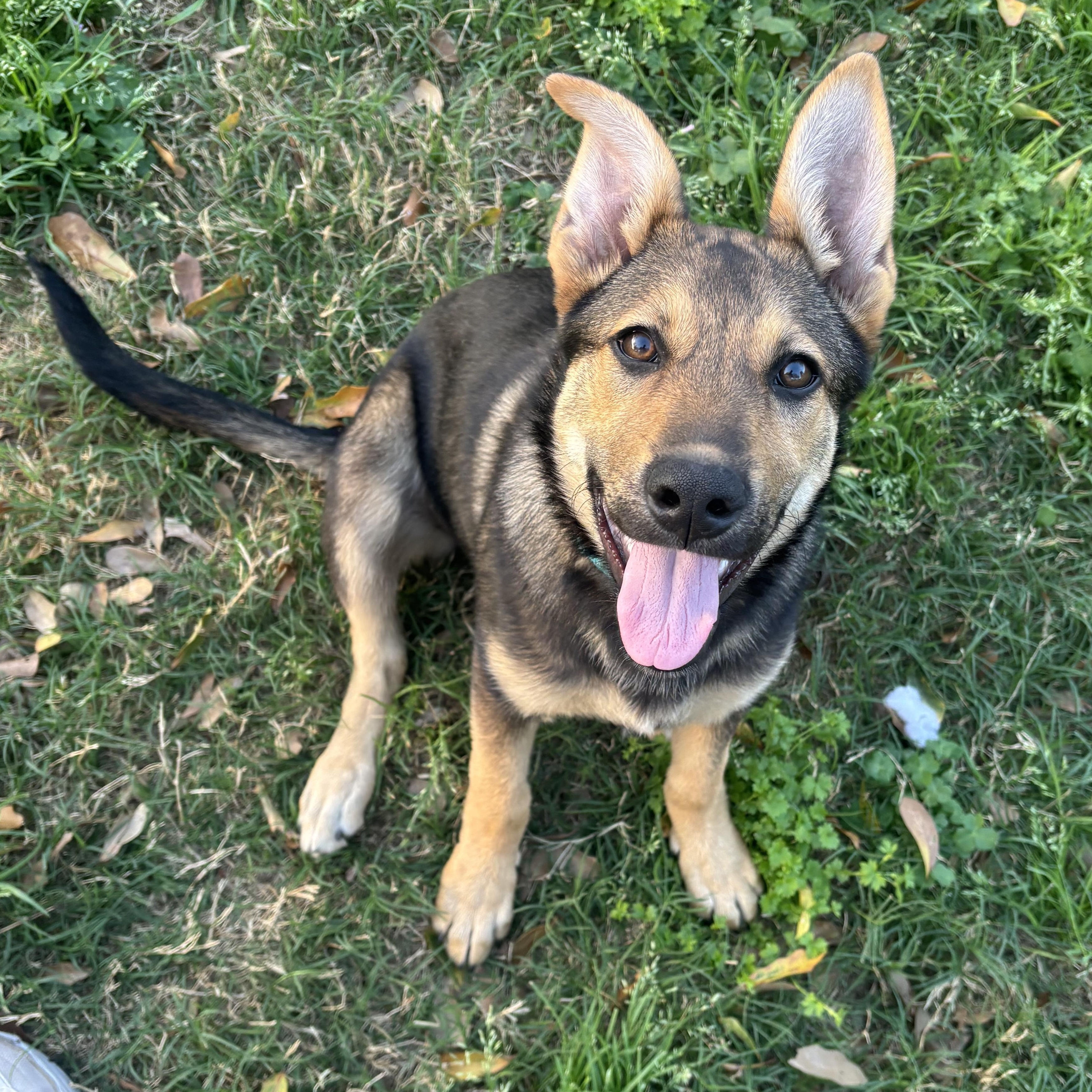 Jilly — thumbnail 3