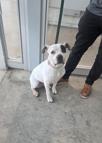 Maggie — thumbnail 3