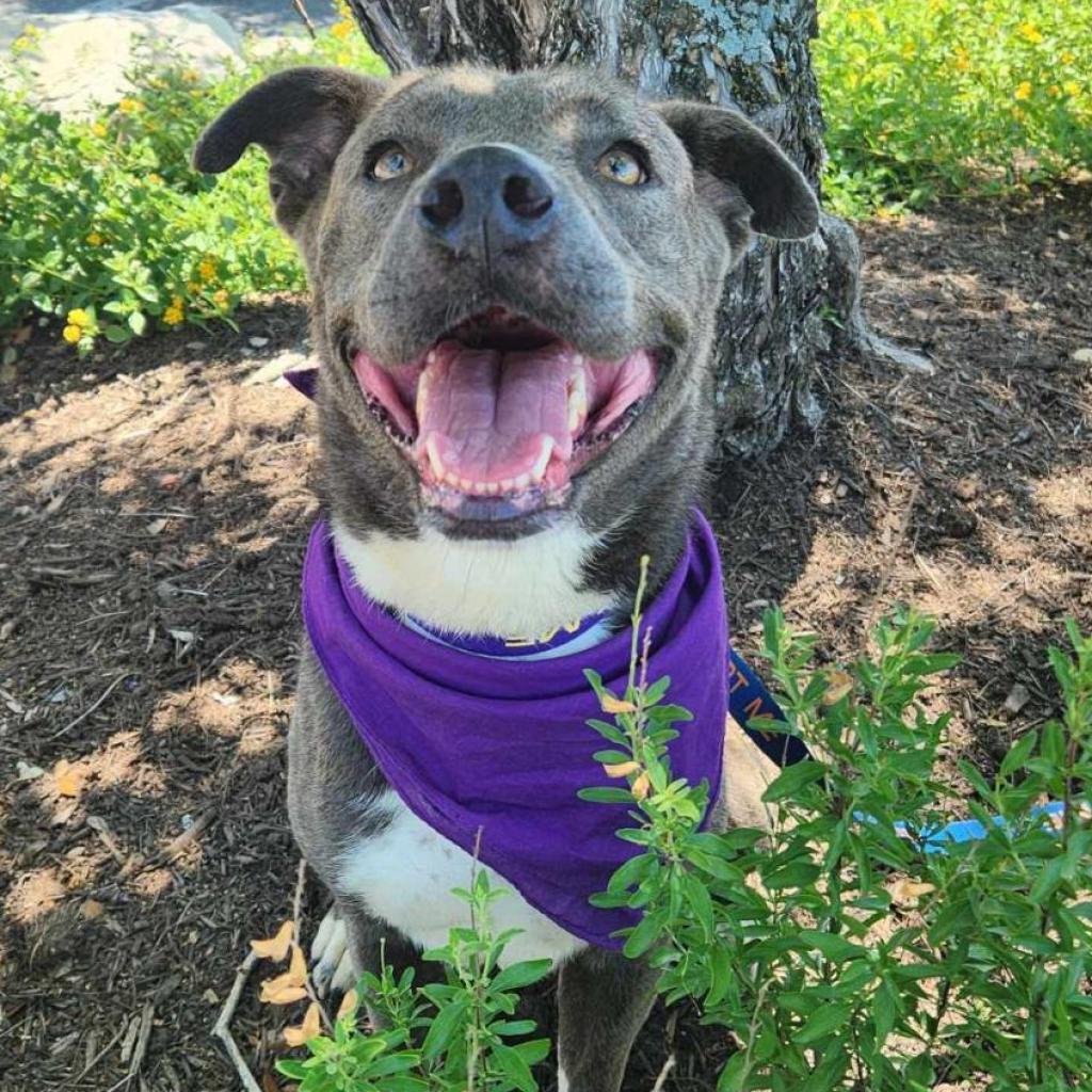 Maxine JuM — thumbnail 3