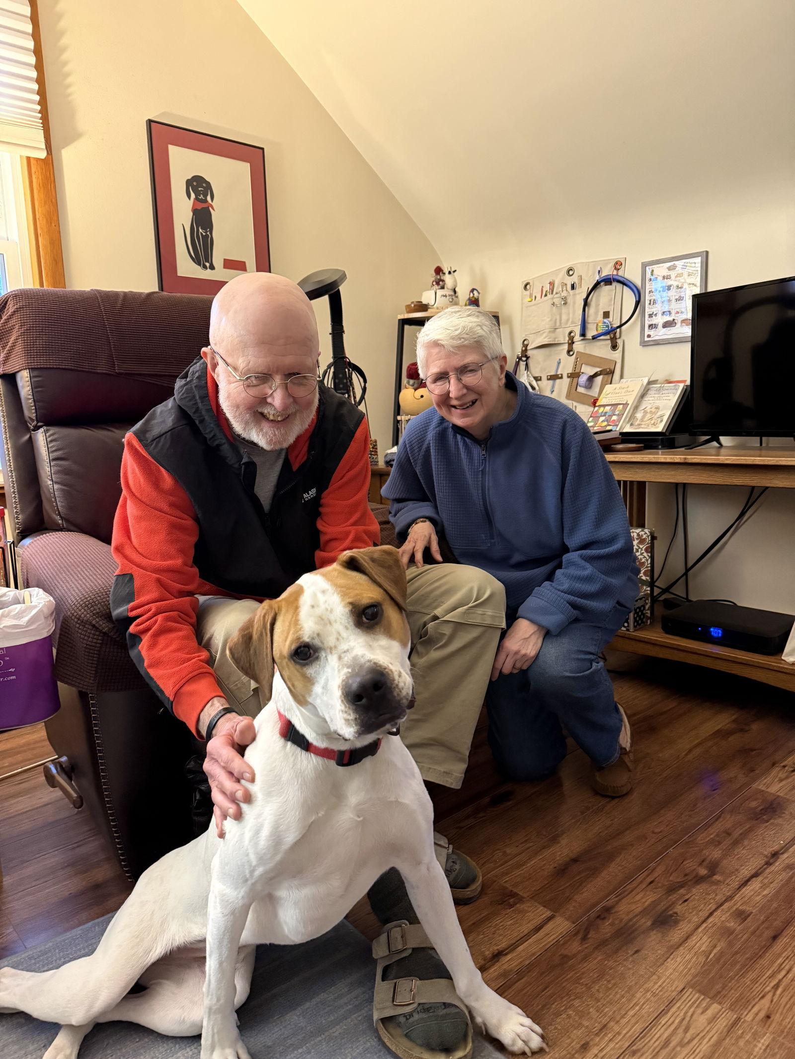 Enlarge Jill, a Adopted Labrador Retriever in Tonawanda, NY image 1/3