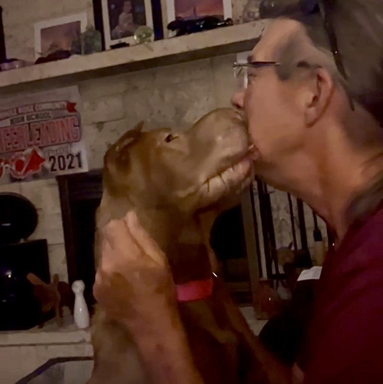 Enlarge BEAUTIFUL BELLA, a Adopted Shar-Pei in Fort Lauderdale , FL image 4/6