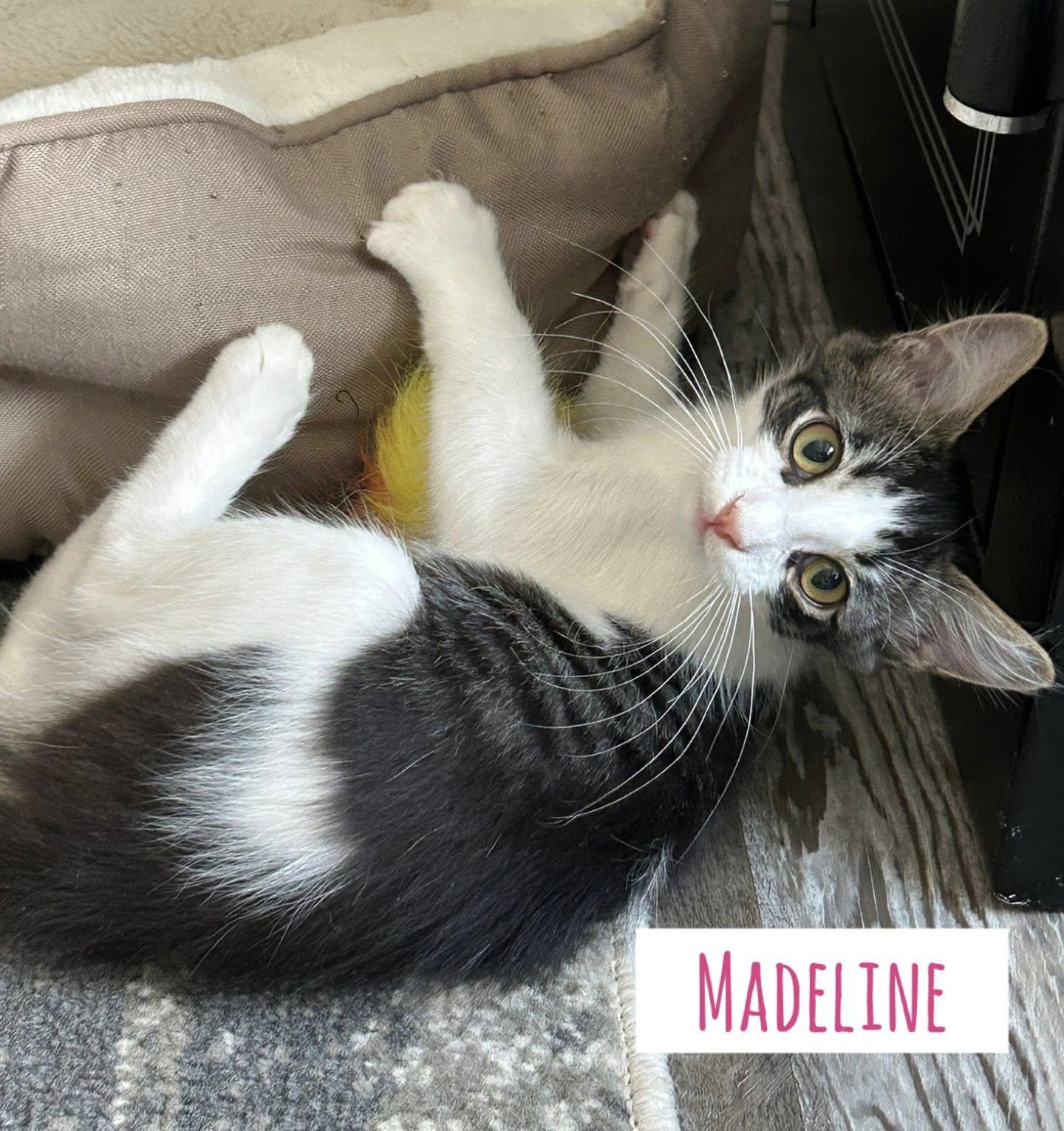 Madeline