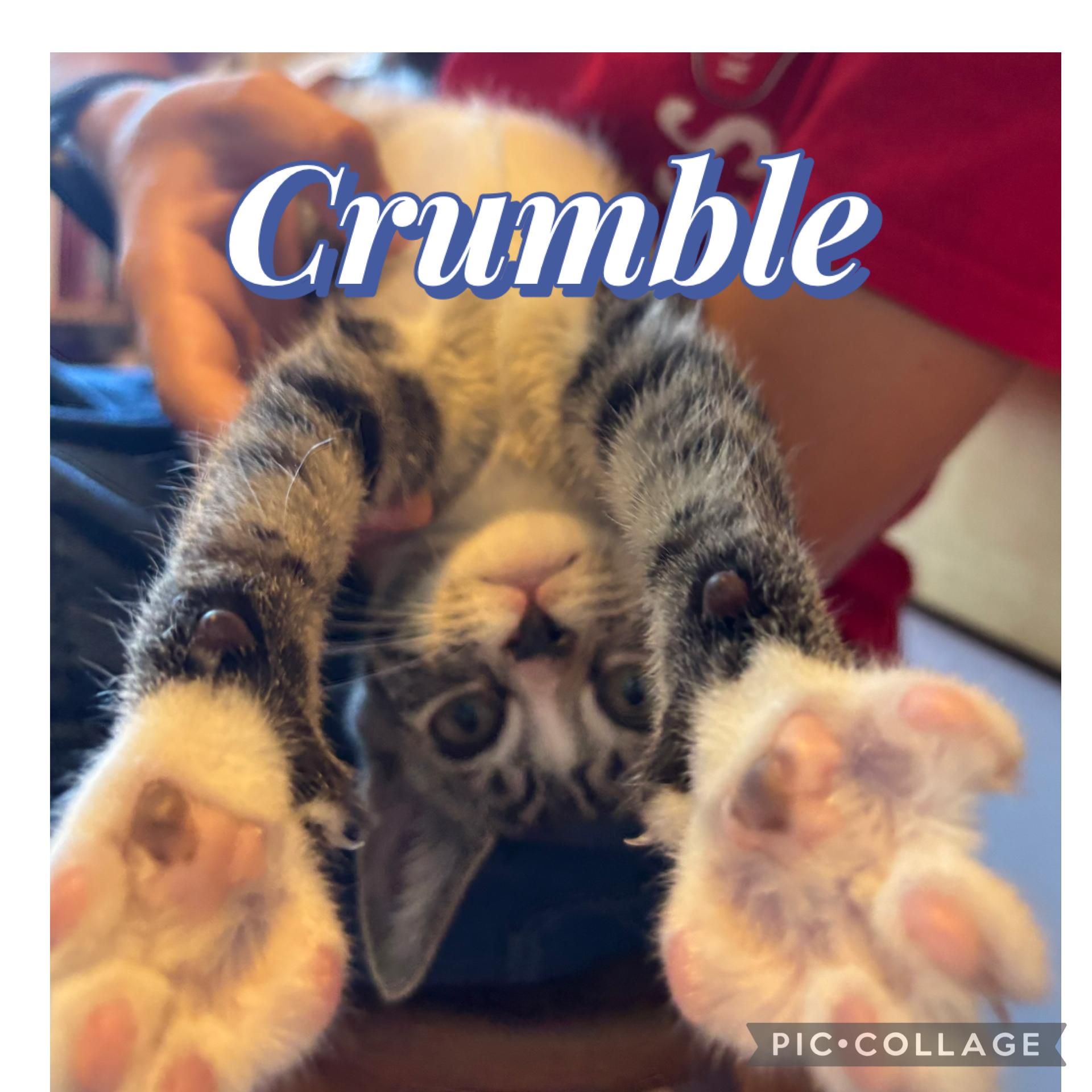 Crumble and Batter photo 4