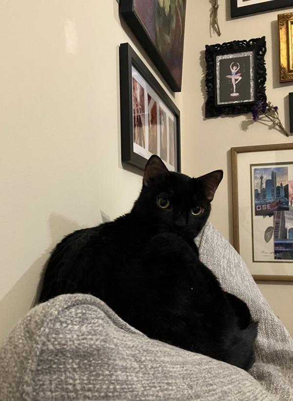 Eyes — thumbnail 2