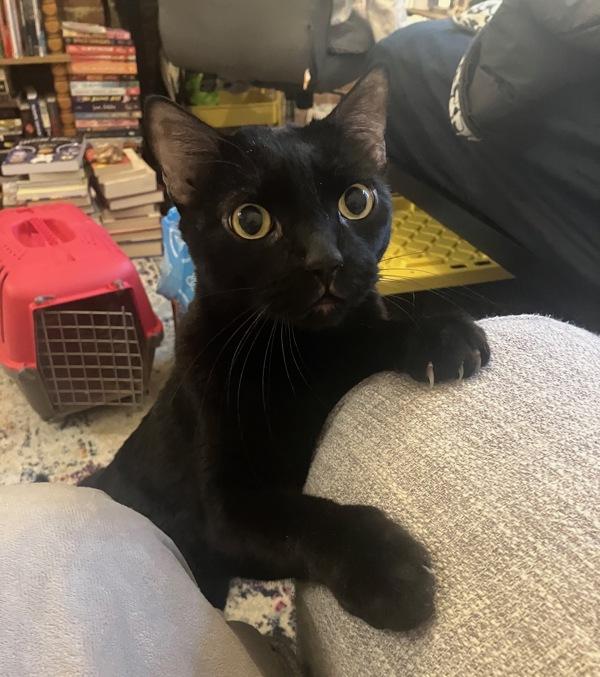 Eyes — thumbnail 3