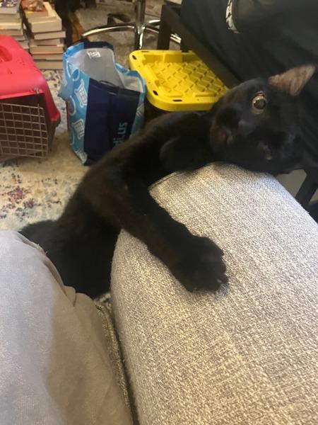 Eyes — thumbnail 4