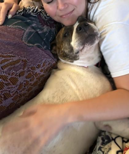 Dori, a Adoptable Pit Bull Terrier in Washington, DC image 2/3