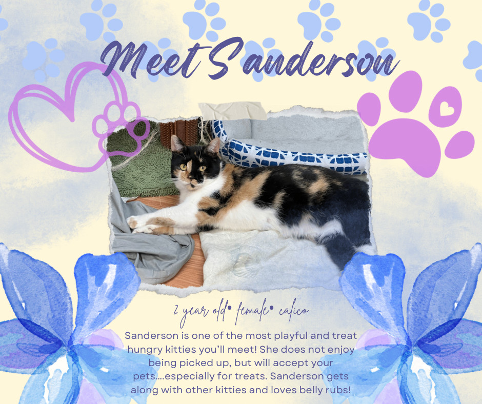 Sanderson