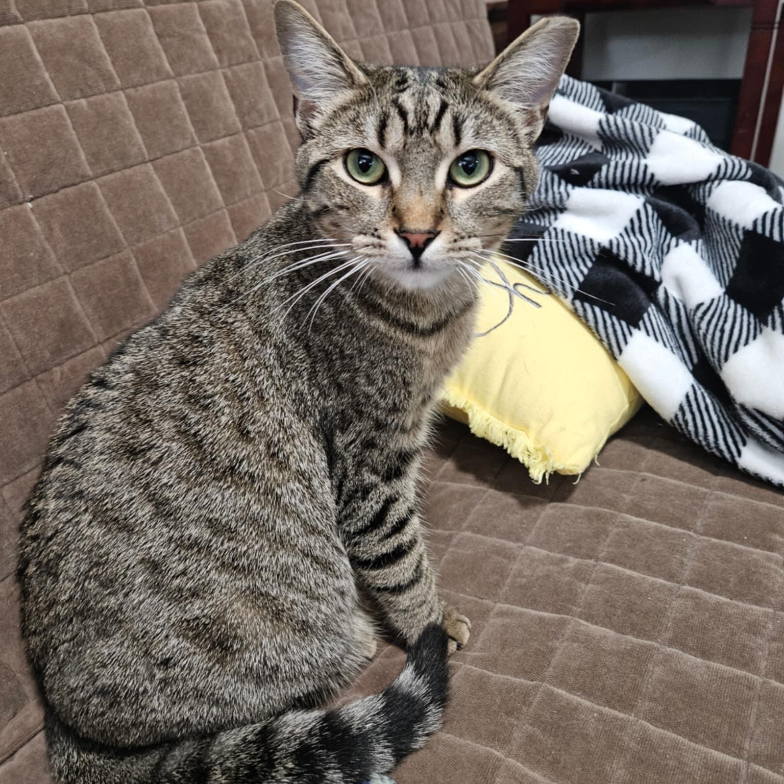 Little T and Jennifer