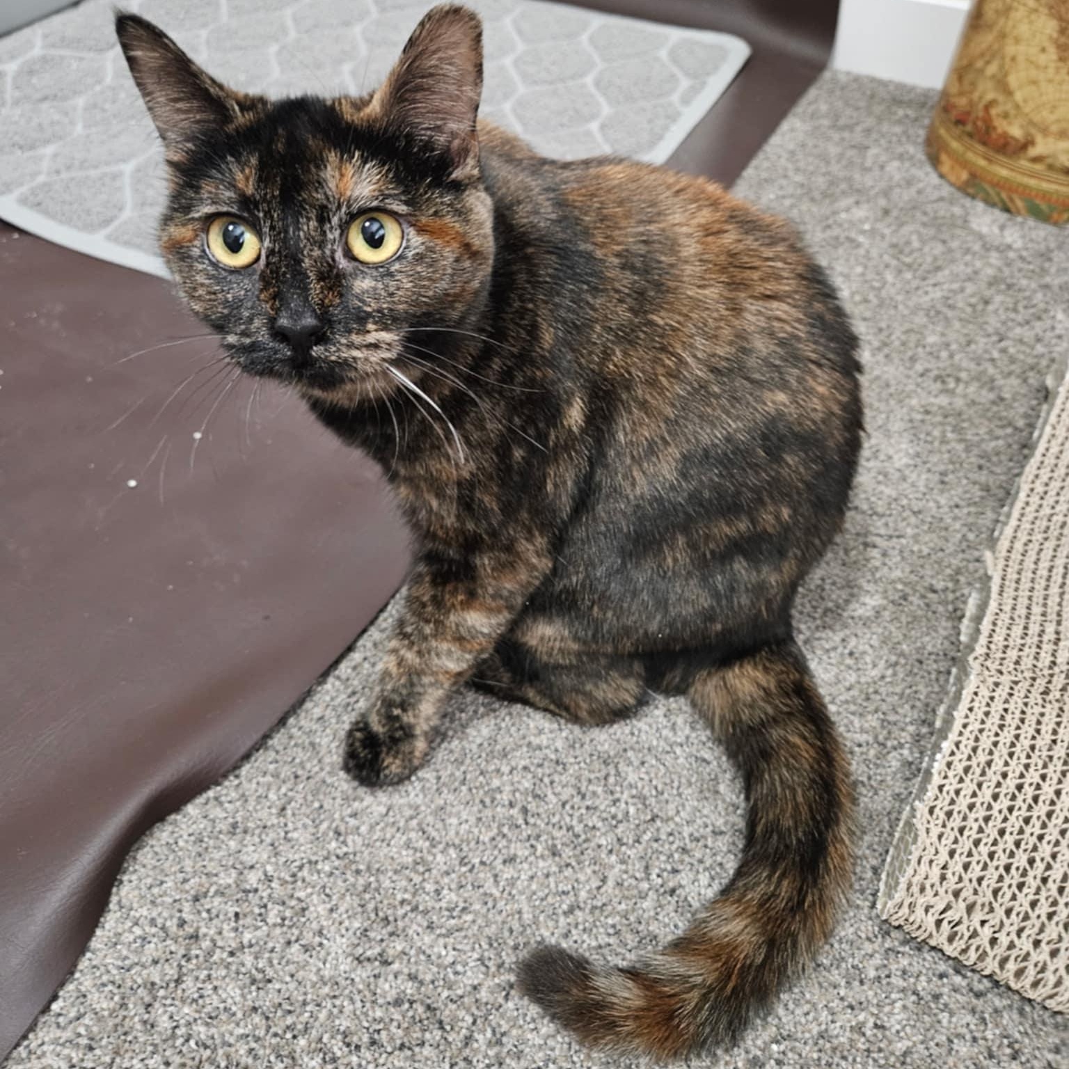 Little T and Jennifer