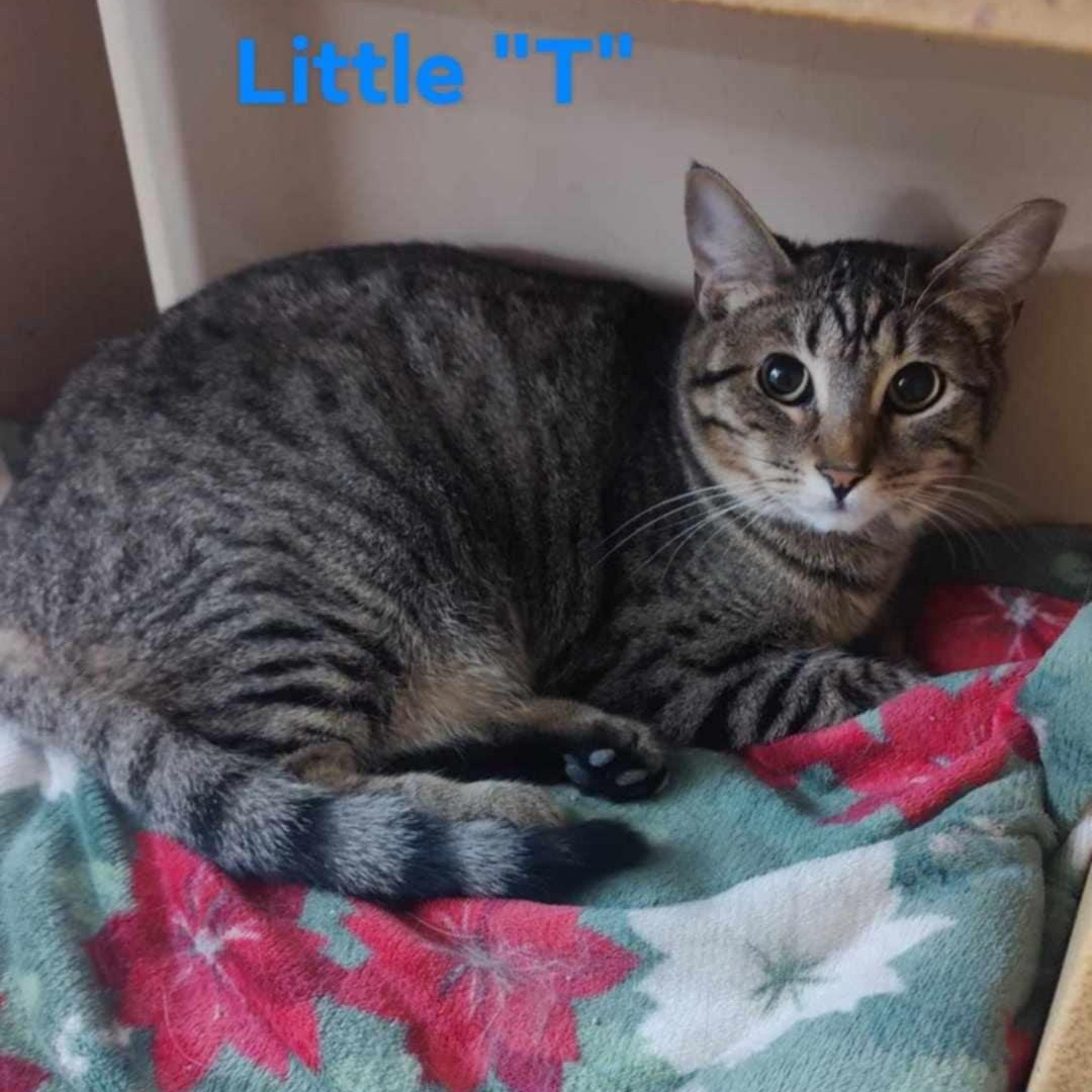 Little T and Jennifer