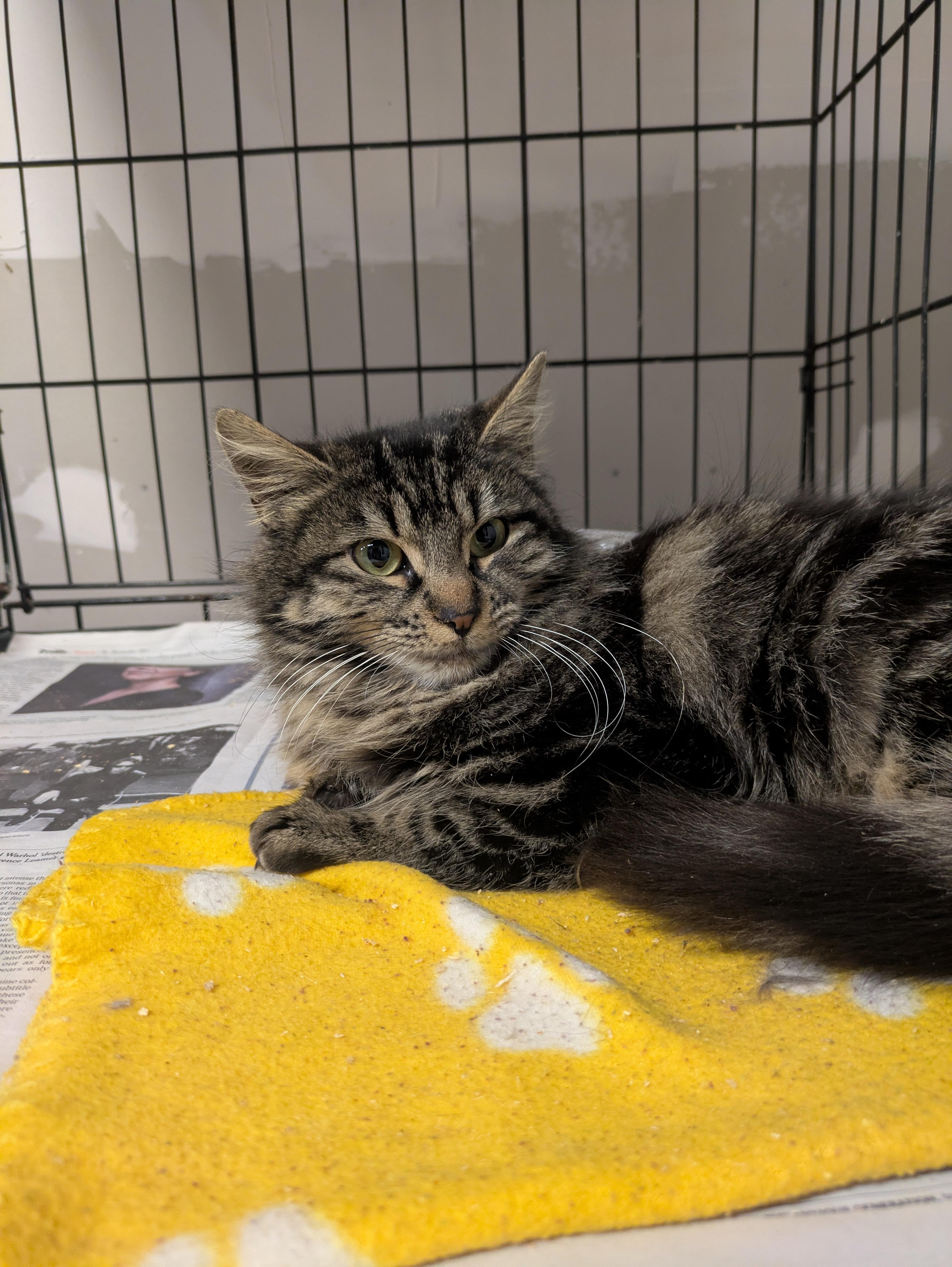 Chambord thumbnail 2