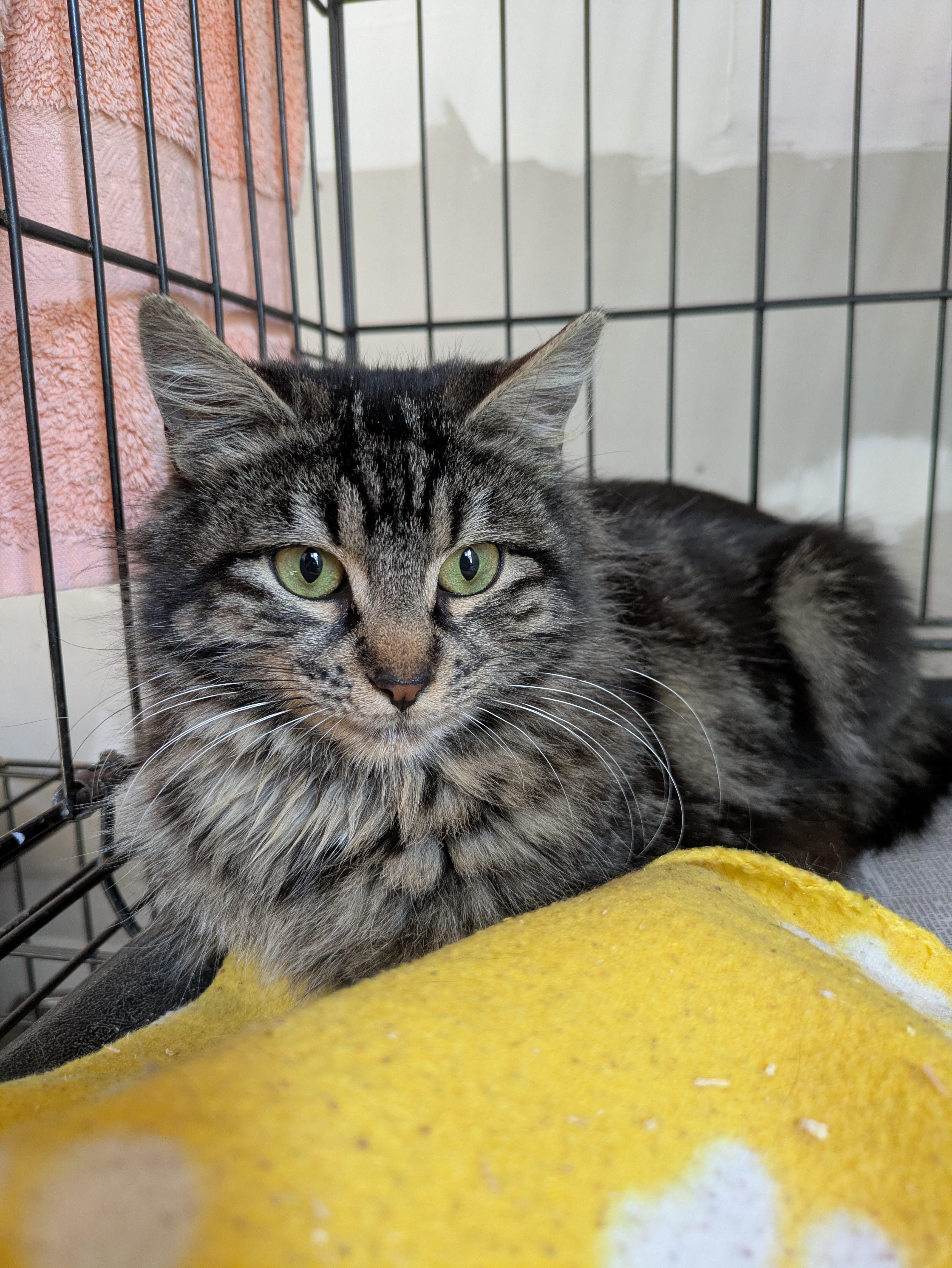 Chambord thumbnail 3