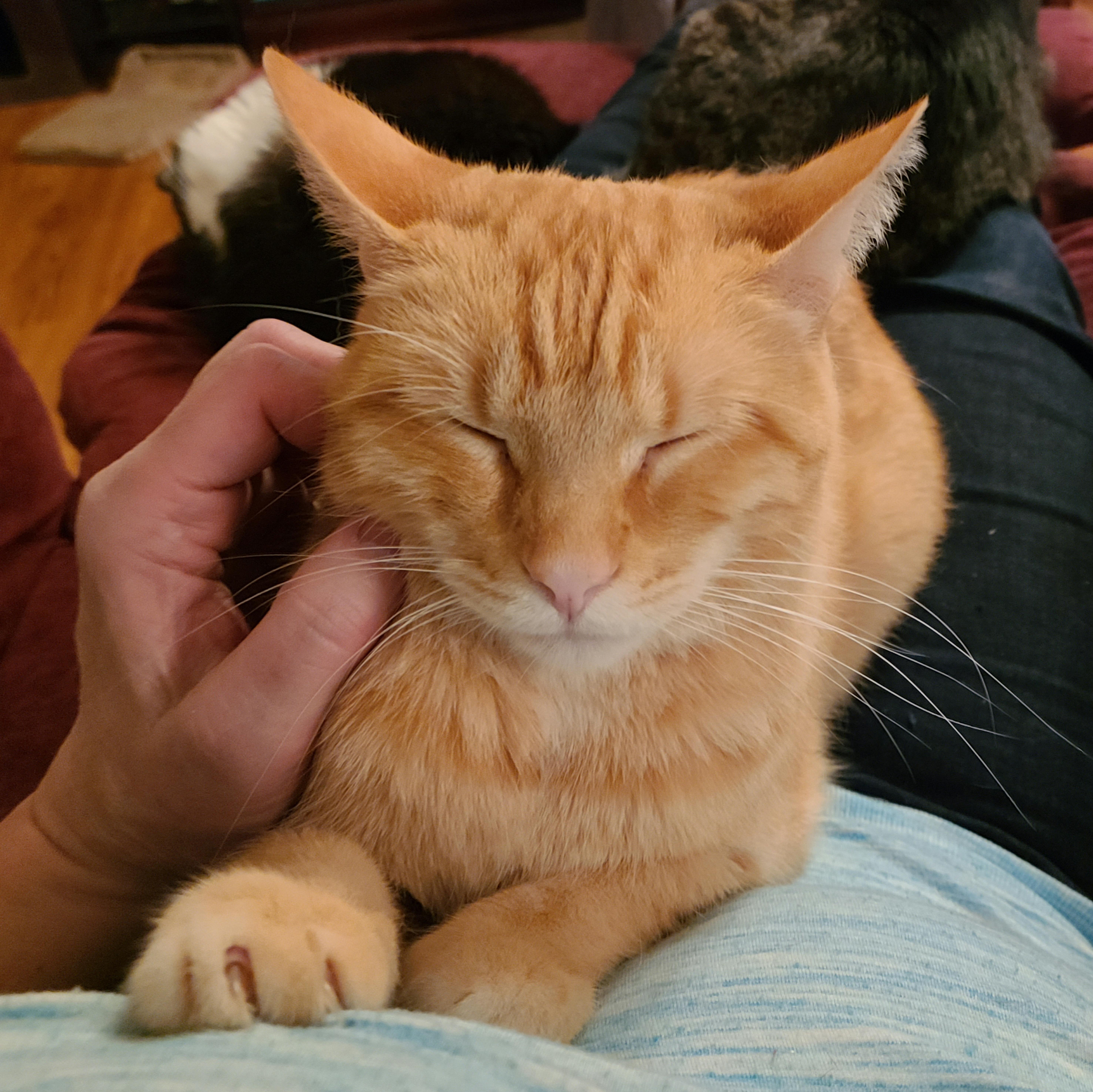 Macgyver thumbnail 7