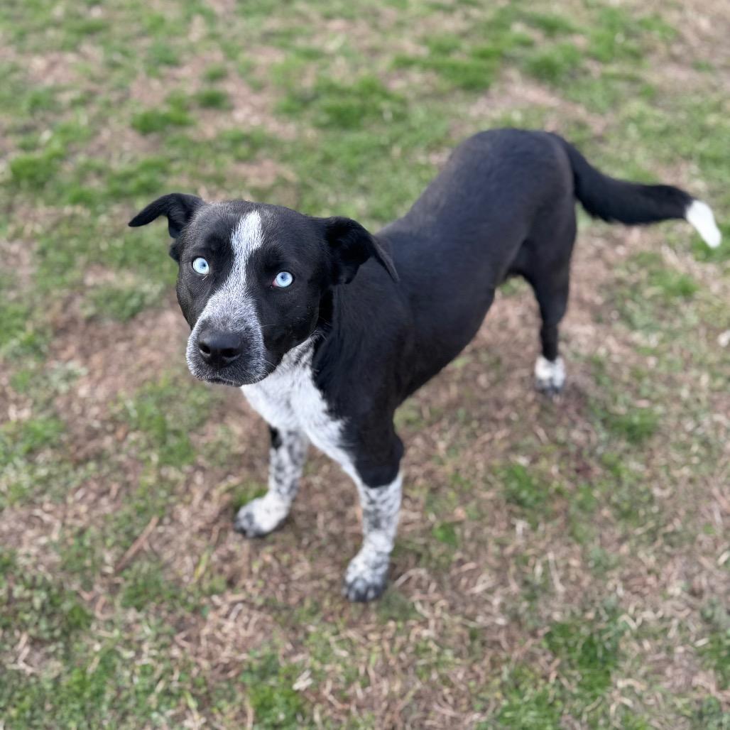 Jane — thumbnail 3