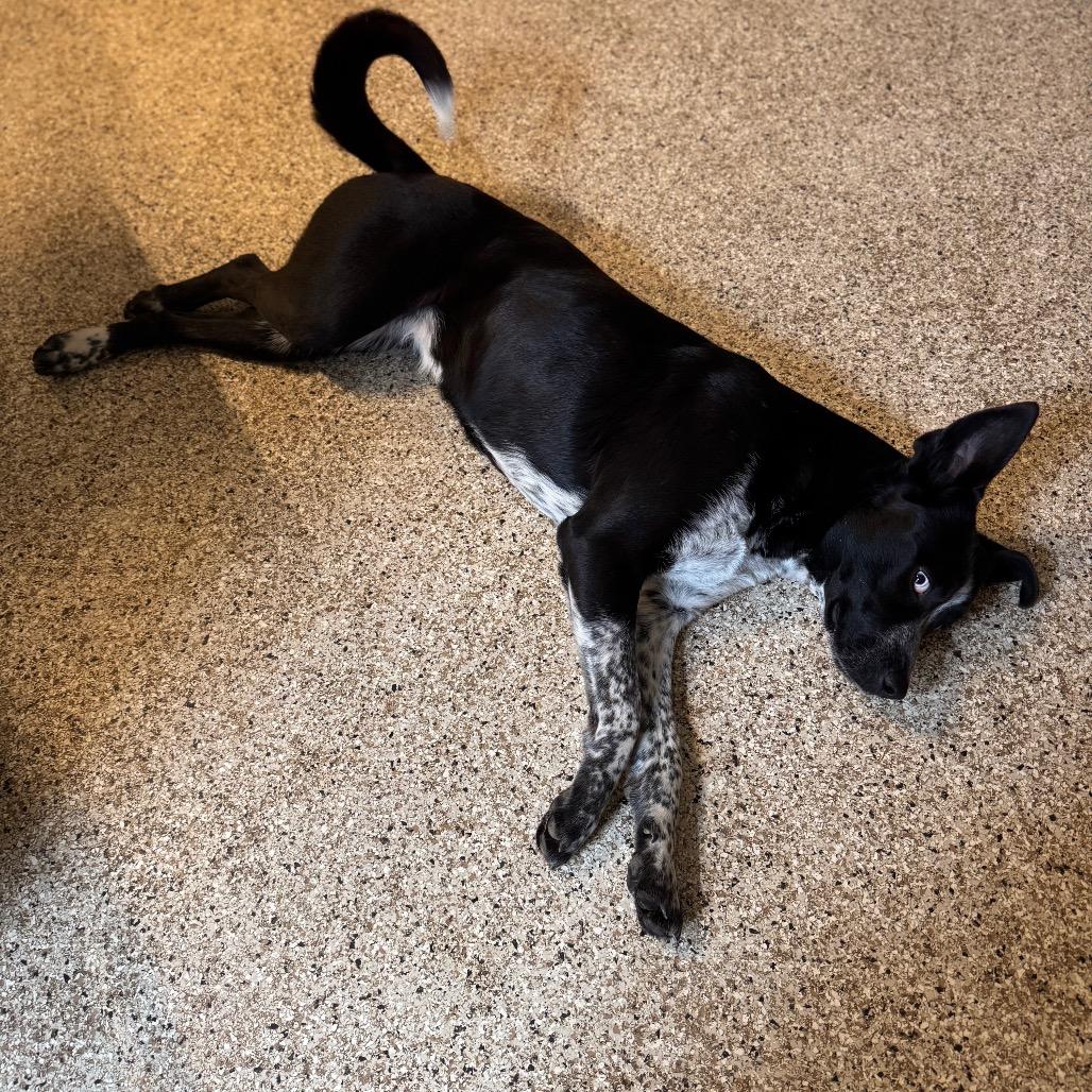 Jane — thumbnail 4