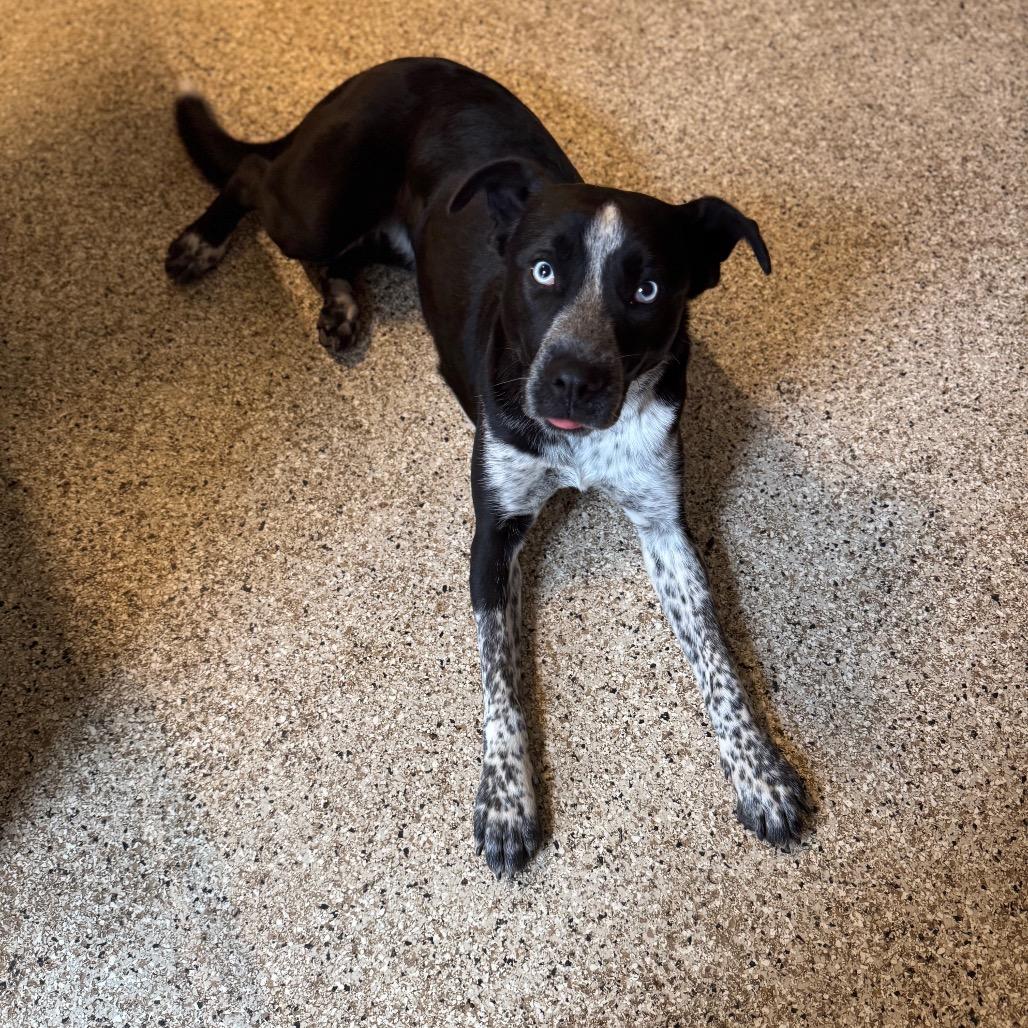 Jane — thumbnail 5