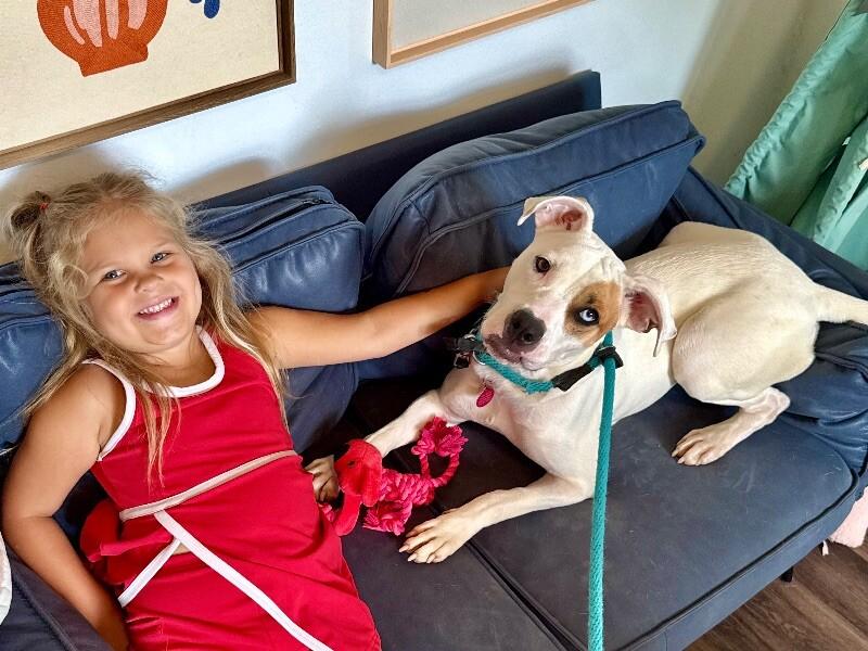 Enlarge Billie Jean Jager, a Adoptable mixed breed in Friendswood, TX image 4/6